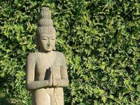Buddha-Figur im sommerlichen Praxisgarten